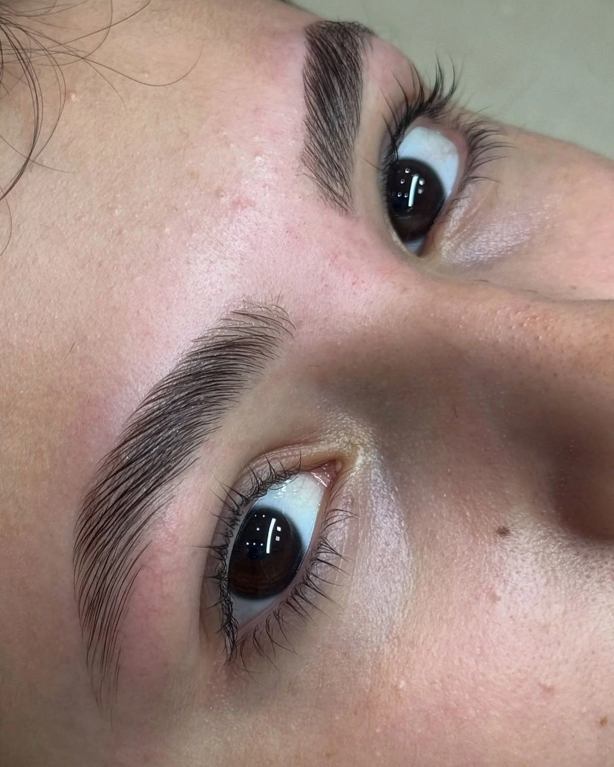 Tratamientos de cejas y pestañas en el estudio