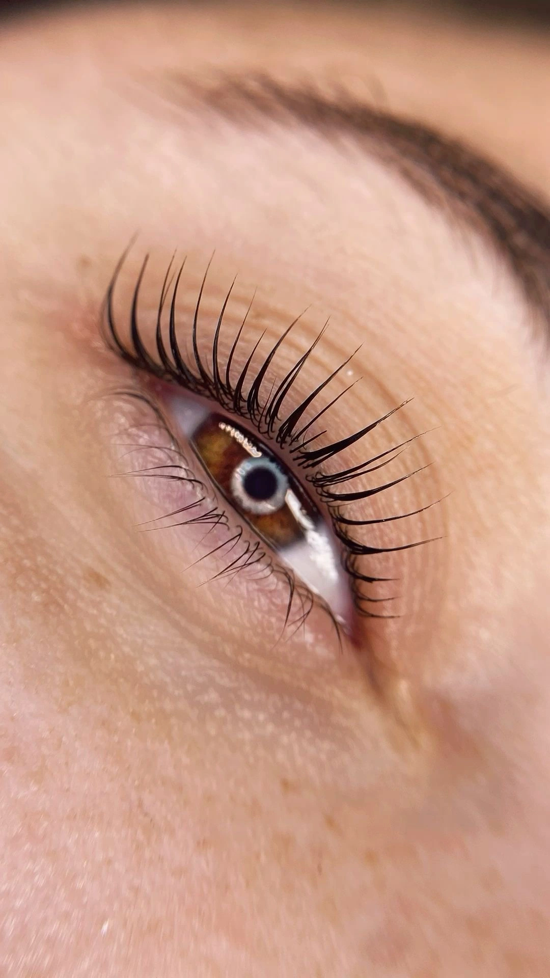 Resultados naturales en cejas y pestañas